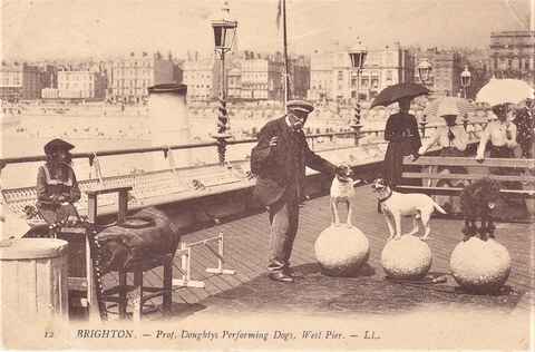 Postcard of Professor Doughty and his performing dogs on the West Pier