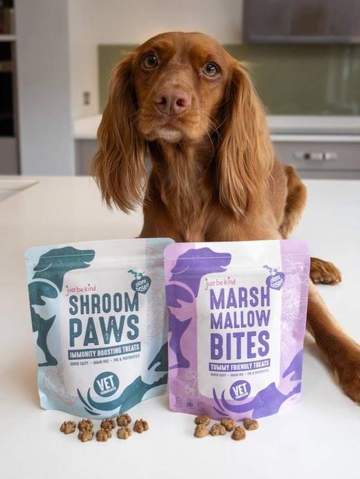 A spaniel sitting behind two pouches of dog treats called Shroom Paws and Marsh Mallow Bites